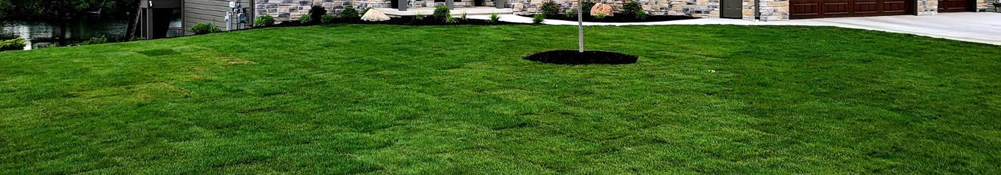 New Lawn Installations in ^^city^^, WI